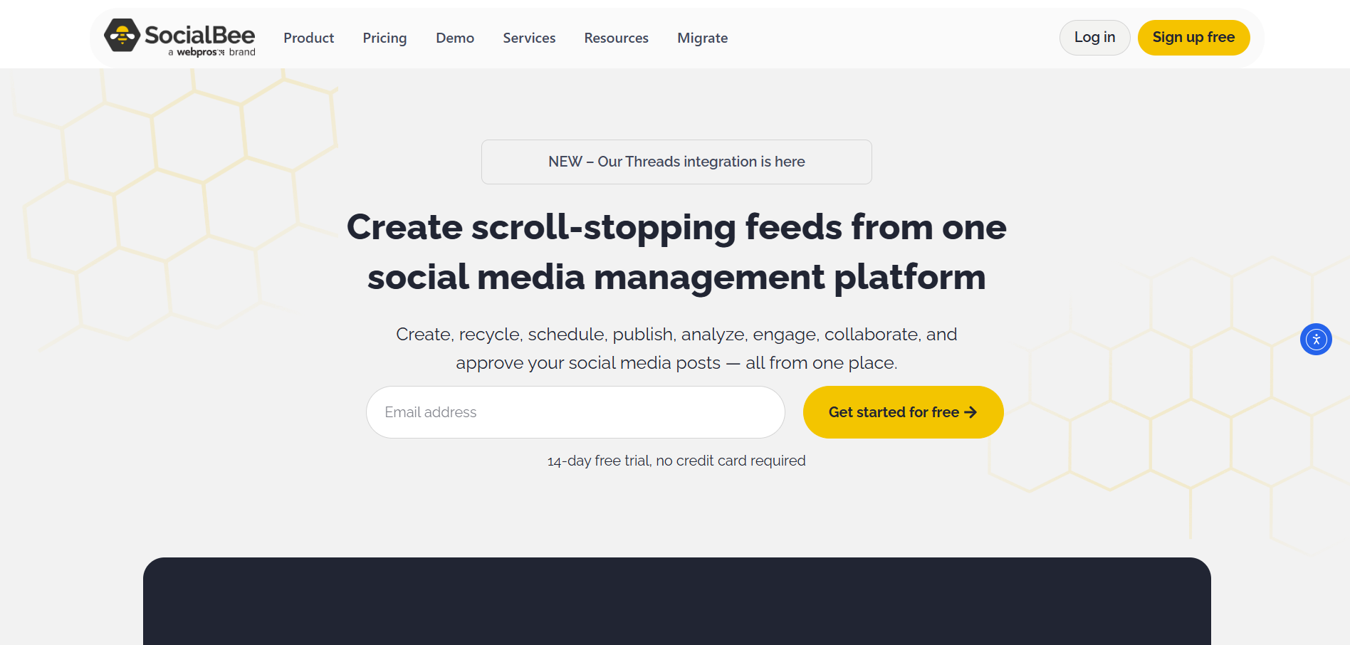 SocialBee TikTok Marketing